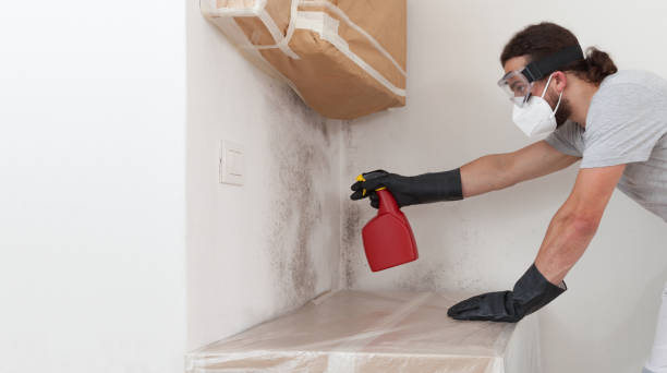 Professional Bathroom Mold Removal technician working in Linden, TX