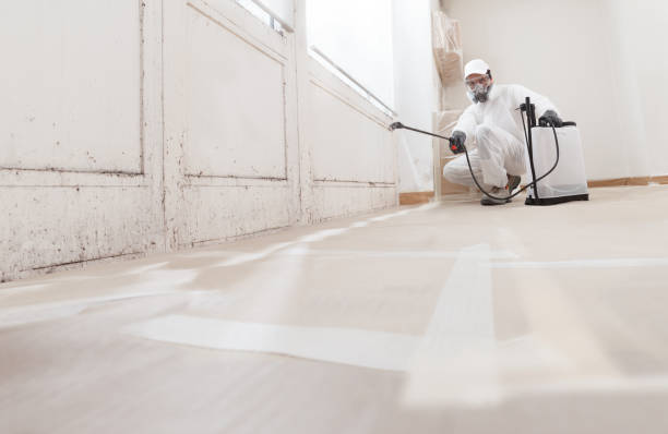 24/7 Emergency Bathroom Mold Removal experts in Linden, TX